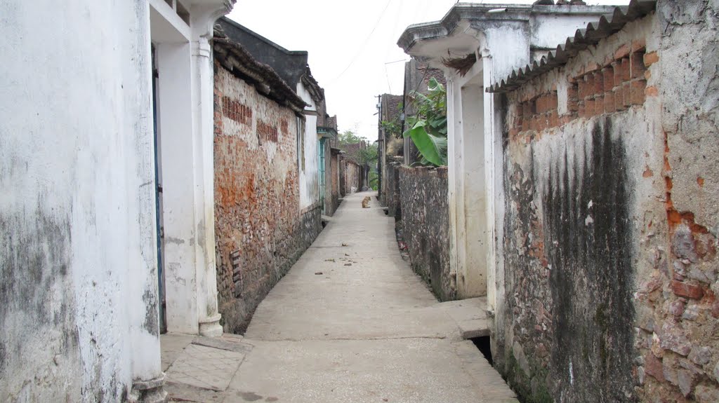 Kế hoạch sử dụng đất xã Thiệu Hợp, Thiệu Hoá, Thanh Hoá năm 2021 - Ảnh 1. Kế hoạch sử dụng đất xã Thiệu Hợp, Thiệu Hoá, Thanh Hoá năm 2021 - Ảnh 1.