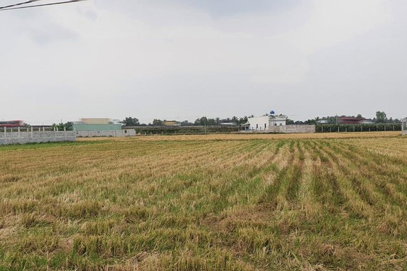 Long An, Đồng Tháp được chuyển 67 ha đất trồng lúa sang đất phi nông nghiệp
