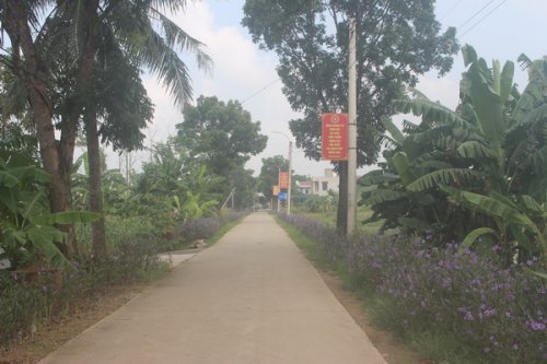 Kế hoạch sử dụng đất xã Quang Trung, Bỉm Sơn, Thanh Hoá năm 2021 - Ảnh 1. Kế hoạch sử dụng đất xã Quang Trung, Bỉm Sơn, Thanh Hoá năm 2021 - Ảnh 1.