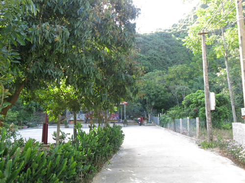 Kế hoạch sử dụng đất phường Ba Đình, Bỉm Sơn, Thanh Hoá năm 2021 - Ảnh 1. Kế hoạch sử dụng đất phường Ba Đình, Bỉm Sơn, Thanh Hoá năm 2021 - Ảnh 1.