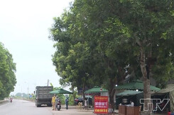 Kế hoạch sử dụng đất phường Quảng Tâm, TP Thanh Hóa, Thanh Hoá năm 2021