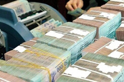 Xuất hiện một nữ đại gia chi trăm tỷ đồng mua TGG, trở thành cổ đông lớn Louis Capital