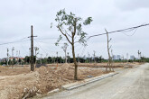 Lo nhà đầu tư bỏ cọc đấu giá đất, Thanh Hóa yêu cầu đặt tiền trước 20%