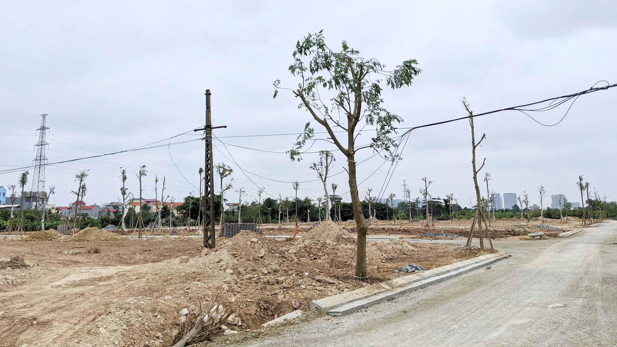 Lo nhà đầu tư bỏ cọc đấu giá đất, Thanh Hóa yêu cầu đặt tiền trước 20% - Ảnh 1. Lo nhà đầu tư bỏ cọc đấu giá đất, Thanh Hóa yêu cầu đặt tiền trước 20% - Ảnh 1.