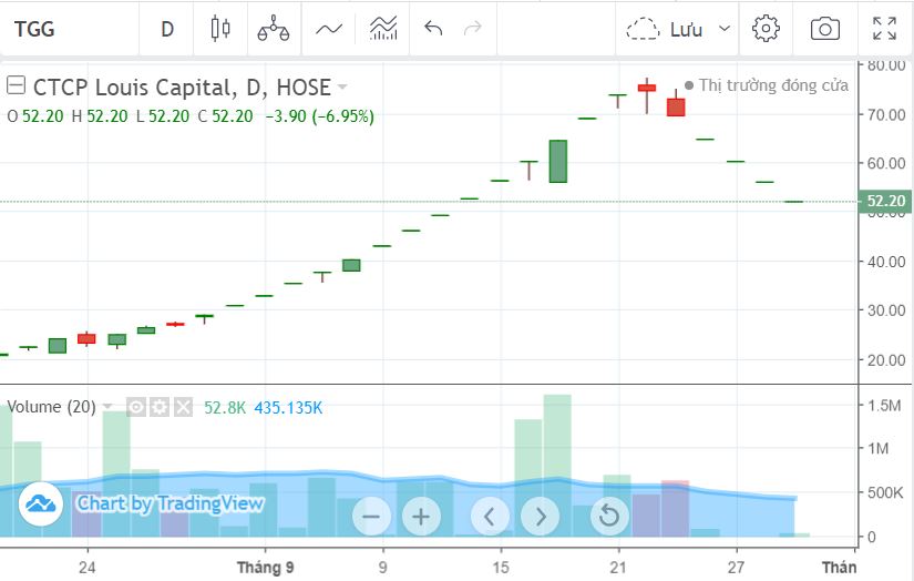 Xuất hiện một nữ đại gia chi trăm tỷ đồng mua TGG, trở thành cổ đông lớn Louis Capital - Ảnh 1. Xuất hiện một nữ đại gia chi trăm tỷ đồng mua TGG, trở thành cổ đông lớn Louis Capital - Ảnh 1.