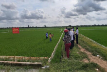 5 thủ tục hành chính về đất đai mới được sửa đổi, bổ sung, thay thế
