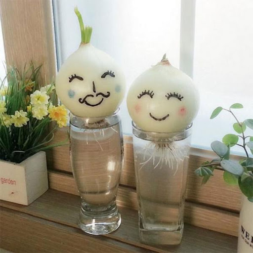 Bật mí 7 mẹo làm sạch nhà bằng hành tây đơn giản, hiệu quả đáng ngạc nhiên - Ảnh 1. Bật mí 7 mẹo làm sạch nhà bằng hành tây đơn giản, hiệu quả đáng ngạc nhiên - Ảnh 1.