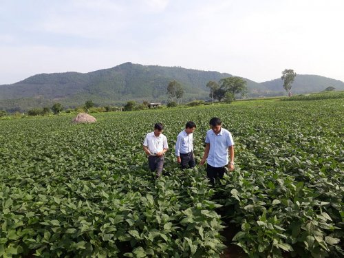 Kế hoạch sử dụng đất xã Hoằng Trung, Hoằng Hoá, Thanh Hoá năm 2021 - Ảnh 1. Kế hoạch sử dụng đất xã Hoằng Trung, Hoằng Hoá, Thanh Hoá năm 2021 - Ảnh 1.