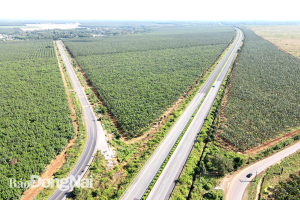 Đồng Nai: Hơn 6.200 tỷ đồng mở rộng đường tỉnh 769 kết nối sân bay Long Thành - Ảnh 1. Đồng Nai: Hơn 6.200 tỷ đồng mở rộng đường tỉnh 769 kết nối sân bay Long Thành - Ảnh 1.