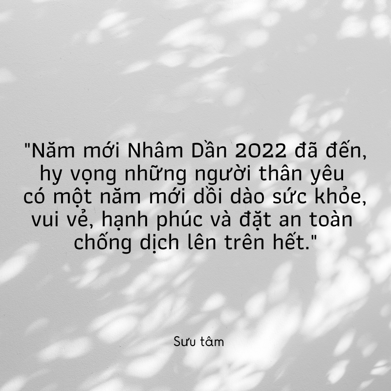 20 status Tết mùa COVID ý nghĩa và độc đáo chào xuân Nhâm Dần 2022 - Ảnh 2. 20 status Tết mùa COVID ý nghĩa và độc đáo chào xuân Nhâm Dần 2022 - Ảnh 2.