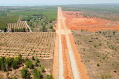 Đẩy nhanh tiến độ dự án Cảng hàng không Phan Thiết