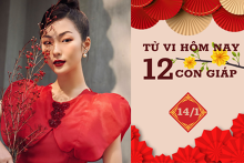 Tử vi hàng ngày hôm nay 14/1 của 12 con giáp: Tuất đạt nhiều thành tựu, Tỵ tình cảm rạn nứt