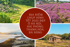 Địa điểm chụp hình tết 2022 đẹp ở Hà Nội, Hải Phòng, Thanh Hóa, Đà Nẵng