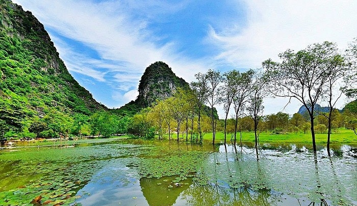 Địa điểm chụp hình tết 2022 đẹp ở Hà Nội, Hải Phòng, Thanh Hóa, Đà Nẵng - Ảnh 16.