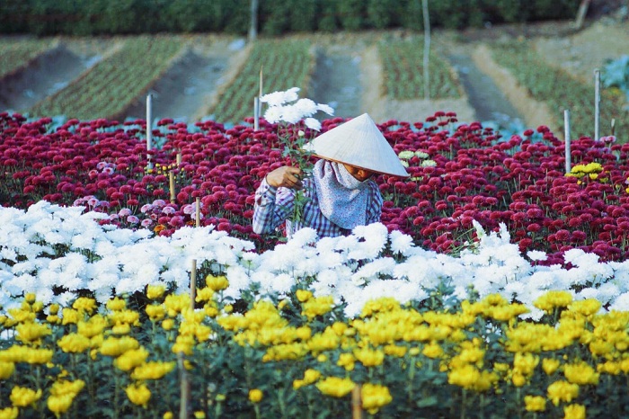 Địa điểm chụp hình tết 2022 đẹp ở Hà Nội, Hải Phòng, Thanh Hóa, Đà Nẵng - Ảnh 12.