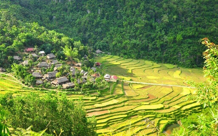 Địa điểm chụp hình tết 2022 đẹp ở Hà Nội, Hải Phòng, Thanh Hóa, Đà Nẵng - Ảnh 14.