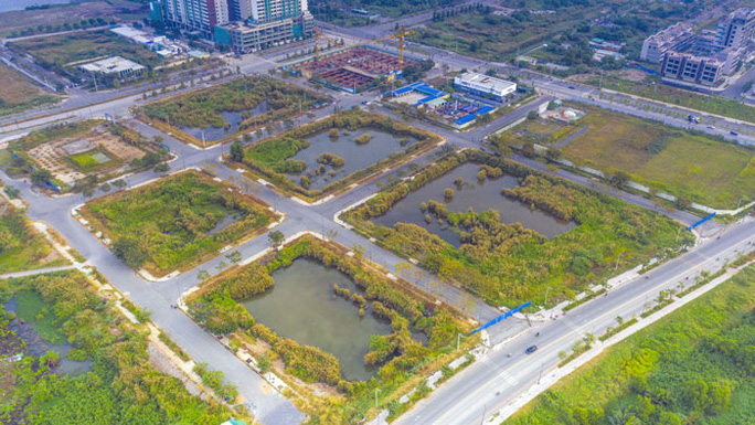 Một năm nhiều dư chấn từ những 'cú sốc' đấu giá đất - Ảnh 1.