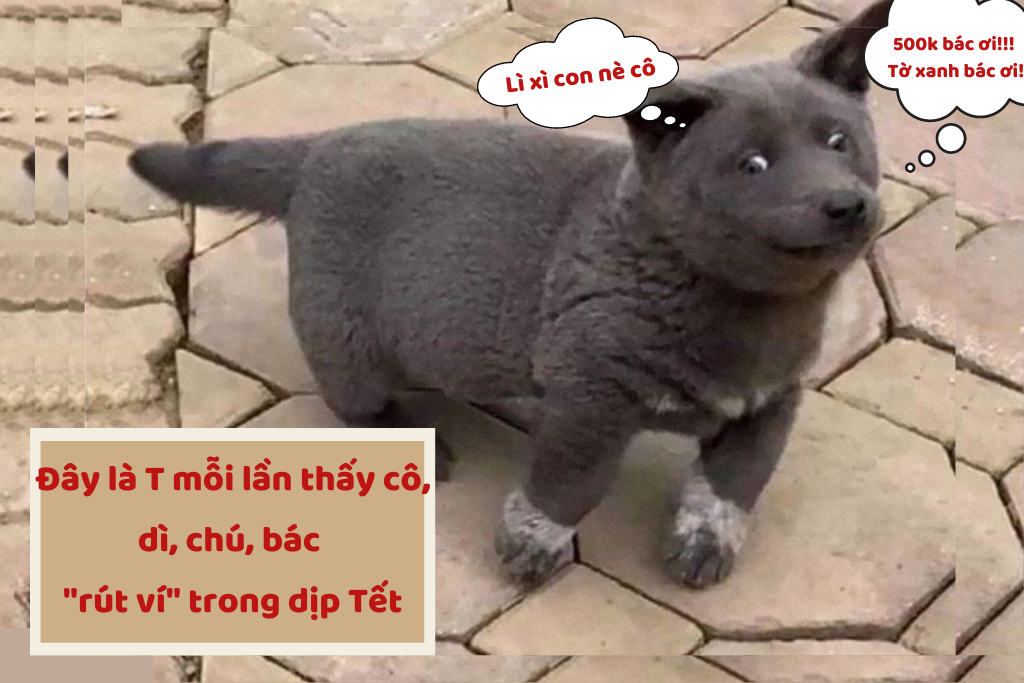 Những hình ảnh chúc Tết hài hước, chọn lọc năm 2022 - Ảnh 3. Những hình ảnh chúc Tết hài hước, chọn lọc năm 2022 - Ảnh 3.