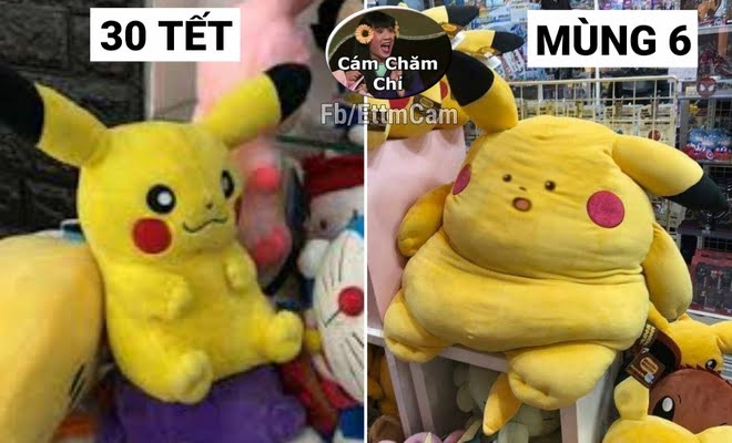Top những ảnh chế Tết hài hước, vui nhộn và mới nhất năm 2022 - Ảnh 44. Top những ảnh chế Tết hài hước, vui nhộn và mới nhất năm 2022 - Ảnh 44.