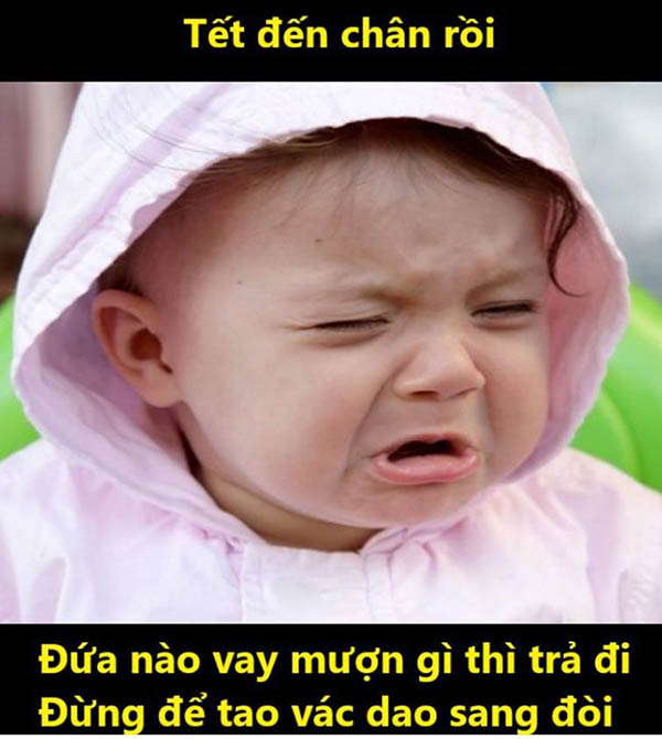 Top những ảnh chế Tết hài hước, vui nhộn và mới nhất năm 2022 - Ảnh 18. Top những ảnh chế Tết hài hước, vui nhộn và mới nhất năm 2022 - Ảnh 18.