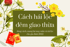 Cách hái lộc đêm giao thừa đúng cách, mang lại may mắn và tài lộc cho gia đình 2022