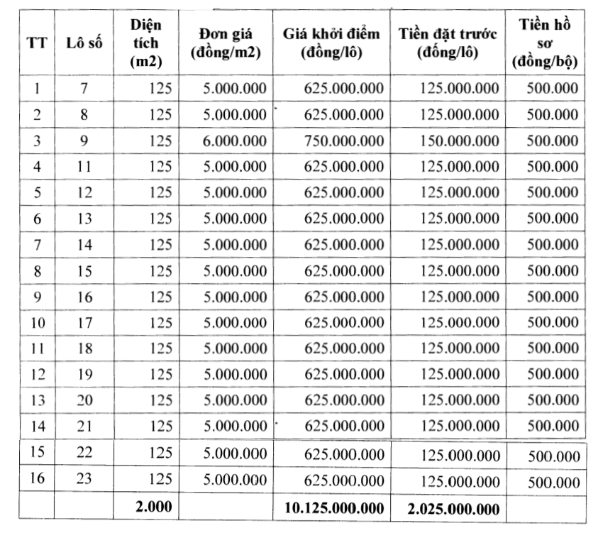 Thanh Hóa sắp đấu giá 31 lô đất tại huyện Nga Sơn, khởi điểm từ 450 triệu đồng/lô - Ảnh 2. Thanh Hóa sắp đấu giá 31 lô đất tại huyện Nga Sơn, khởi điểm từ 450 triệu đồng/lô - Ảnh 2.