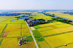 Chuyển đổi 187 ha đất tại Long An, Đồng Tháp làm ba dự án giao thông