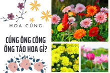 Cúng ông Công ông Táo hoa gì? Mâm lễ cúng bao gồm những gì?