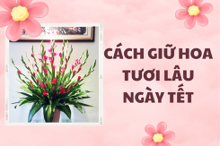 Mách bạn cách giữ hoa lay ơn, hoa hồng, hoa cúc tươi lâu ngày Tết 2022