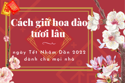 Cách giữ hoa đào tươi lâu ngày Tết Nhâm Dần 2022 dành cho mọi nhà
