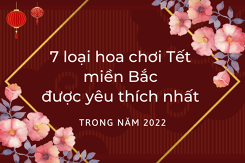 7 loại hoa chơi Tết miền Bắc được yêu thích nhất trong năm 2022