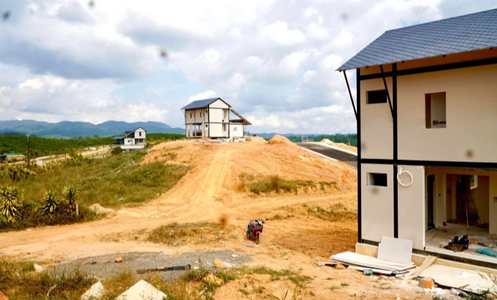 Lâm Đồng kiểm tra, xác minh thông tin 'dự án ma' bức tử rừng thông - Ảnh 1. Lâm Đồng kiểm tra, xác minh thông tin 'dự án ma' bức tử rừng thông - Ảnh 1.