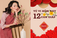 Tử vi hàng ngày hôm nay 31/1 của 12 con giáp: Mão sự nghiệp thăng tiến, Tuất gia đạo hài hòa