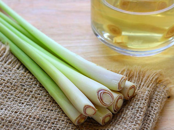 Xông nhà bằng quế, sả tẩy uế đẩy lùi vận khí xấu cho gia chủ - Ảnh 1. Xông nhà bằng quế, sả tẩy uế đẩy lùi vận khí xấu cho gia chủ - Ảnh 1.