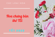 Tổng hợp các loại hoa chưng bàn thờ ngày Tết đẹp và hợp phong thuỷ