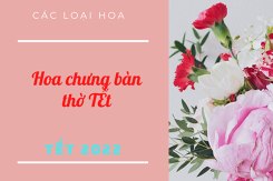 Tổng hợp các loại hoa chưng bàn thờ ngày Tết đẹp và hợp phong thuỷ