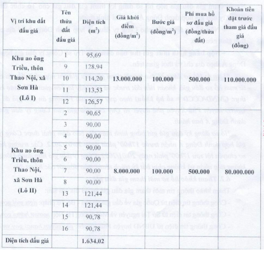 TP Hà Nội sắp đấu giá 52 thửa đất, khởi điểm cao nhất 13 triệu đồng/m2 - Ảnh 2.