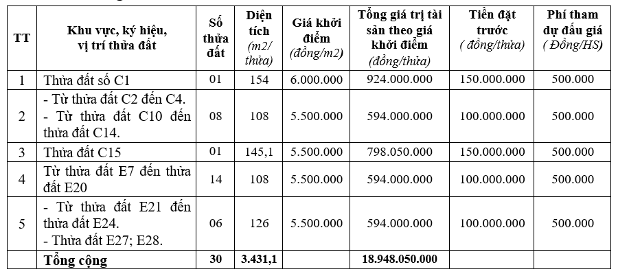 Vĩnh Phúc đấu giá 43 thửa đất tại Tam Dương, khởi điểm từ 594 triệu đồng/thửa - Ảnh 1. Vĩnh Phúc đấu giá 43 thửa đất tại Tam Dương, khởi điểm từ 594 triệu đồng/thửa - Ảnh 1.