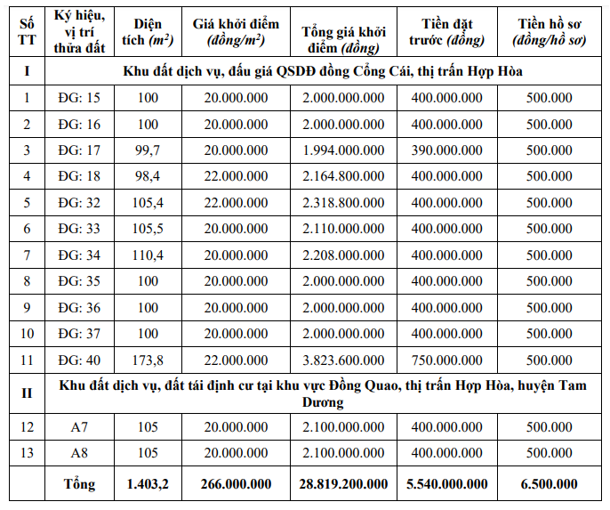 Vĩnh Phúc đấu giá 43 thửa đất tại Tam Dương, khởi điểm từ 594 triệu đồng/thửa - Ảnh 2. Vĩnh Phúc đấu giá 43 thửa đất tại Tam Dương, khởi điểm từ 594 triệu đồng/thửa - Ảnh 2.