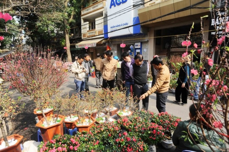 5 địa điểm bán hoa đào ở Hà Nội đẹp không nên bỏ qua - Ảnh 4. 5 địa điểm bán hoa đào ở Hà Nội đẹp không nên bỏ qua - Ảnh 4.