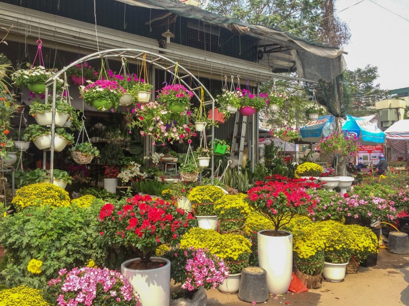 5 địa điểm bán hoa đào ở Hà Nội đẹp không nên bỏ qua - Ảnh 3. 5 địa điểm bán hoa đào ở Hà Nội đẹp không nên bỏ qua - Ảnh 3.