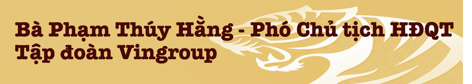 Những lãnh đạo 'mãnh hổ' ghi dấu ấn trên thị trường bất động sản Việt Nam - Ảnh 7.