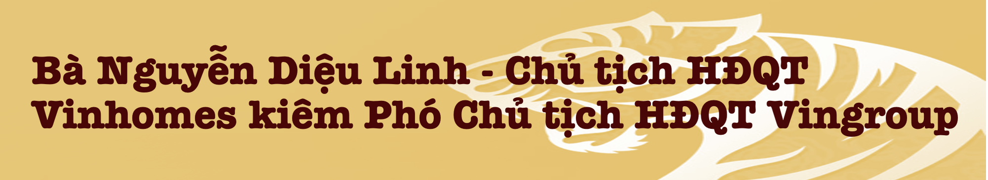 Những lãnh đạo 'mãnh hổ' ghi dấu ấn trên thị trường bất động sản Việt Nam - Ảnh 8.