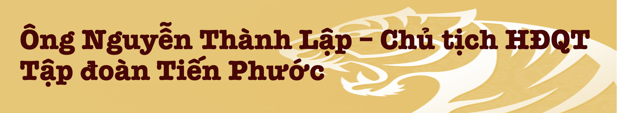 Những lãnh đạo 'mãnh hổ' ghi dấu ấn trên thị trường bất động sản Việt Nam - Ảnh 3.