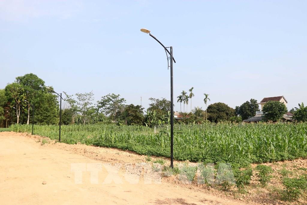 Phối hợp nghiên cứu đề xuất hướng giải quyết đấu giá đất cao bất thường - Ảnh 1. Phối hợp nghiên cứu đề xuất hướng giải quyết đấu giá đất cao bất thường - Ảnh 1.