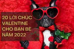 20 lời chúc Valentine hài hước cho bạn bè mới nhất năm 2022