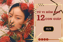 Tử vi hàng ngày hôm nay 12/2 của 12 con giáp: Mão sự nghiệp khởi sắc, Ngọ tài lộc dồi dào