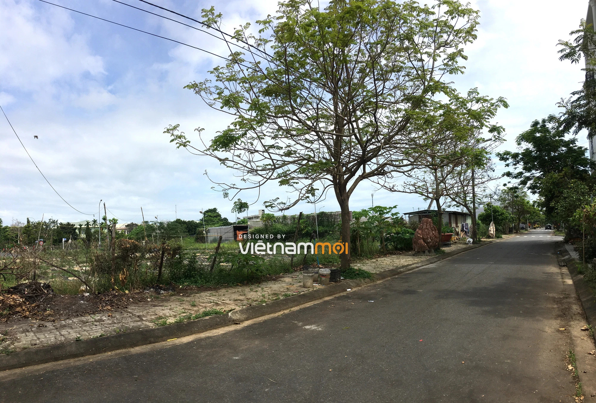 Cận cảnh khu đất quy hoạch xây dựng bệnh viện ở KDC Nam Cầu Cẩm Lệ, Đà Nẵng sắp đấu giá - Ảnh 6. Cận cảnh khu đất quy hoạch xây dựng bệnh viện ở KDC Nam Cầu Cẩm Lệ, Đà Nẵng sắp đấu giá - Ảnh 6.