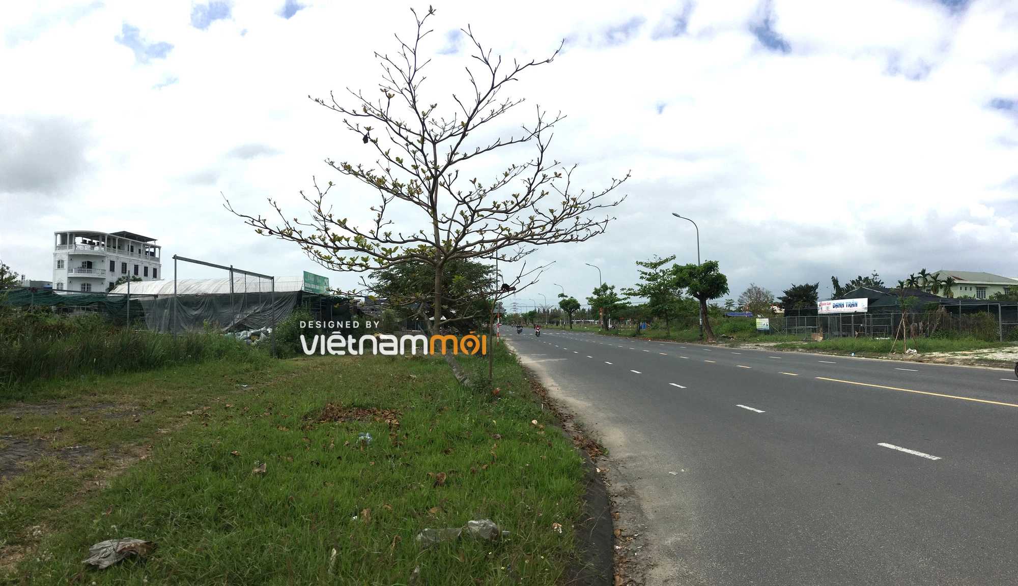 Cận cảnh khu đất quy hoạch xây dựng bệnh viện ở KDC Nam Cầu Cẩm Lệ, Đà Nẵng sắp đấu giá - Ảnh 4. Cận cảnh khu đất quy hoạch xây dựng bệnh viện ở KDC Nam Cầu Cẩm Lệ, Đà Nẵng sắp đấu giá - Ảnh 4.