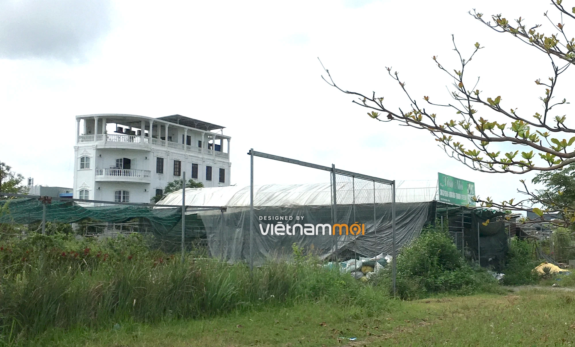 Cận cảnh khu đất quy hoạch xây dựng bệnh viện ở KDC Nam Cầu Cẩm Lệ, Đà Nẵng sắp đấu giá - Ảnh 8. Cận cảnh khu đất quy hoạch xây dựng bệnh viện ở KDC Nam Cầu Cẩm Lệ, Đà Nẵng sắp đấu giá - Ảnh 8.